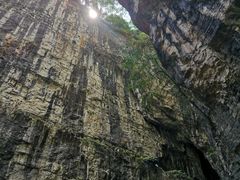 -鹿院坪生态旅游景区