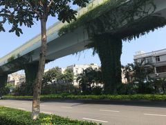 -阿吉仔(大元路店)