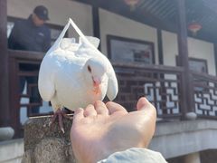 -重元寺