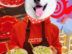 -蜀大侠火锅(四川北路店)