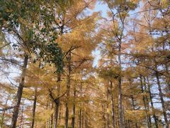 -长春市南湖公园