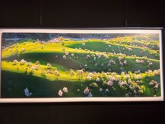 -罗红摄影艺术馆