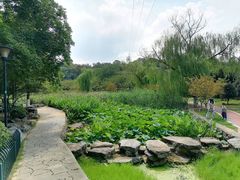 -太子山公园(园东路)