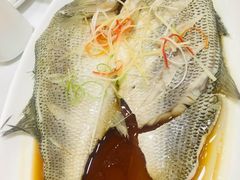 清蒸鲈鱼-黑鸡小馆(金源店)