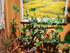 -云之南(八里庄店)