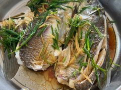 -黄家菜园农庄