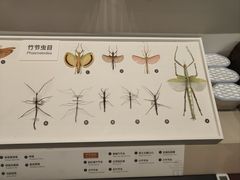 -四川大学博物馆