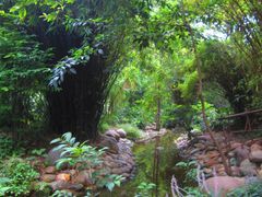 -成都市活水公园