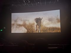 -百美汇影城(LUXE嘉里中心店)