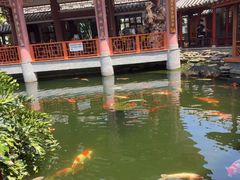 -香麒园·过桥米线·南湖雅宴