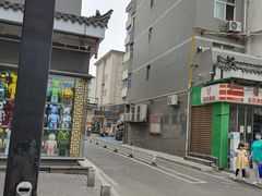 -特一安24小时宠物医院·骨科·中兽医