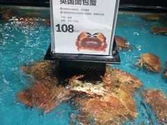 -盒马鲜生(曜一城店)