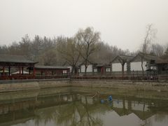 -尚庄度假村·庭台树下·户外烧烤·团建CS·轰趴营地(上庄水库店)