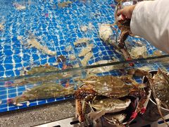 -半岛听涛蒸汽海鲜自助(K11店)