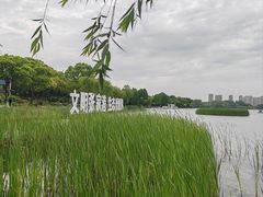-暨阳湖生态园