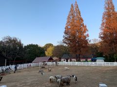 -白马涧龙池景区
