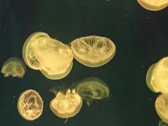 -台州海洋世界