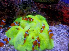 -沈阳海洋探索中心