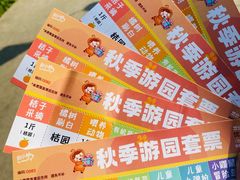 -前小桔亲子创意农场·草莓采摘·露营烧烤