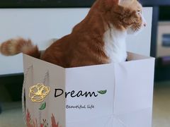 -BON CAKE(华贸购物中心店)