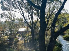 -上海植物园-4号门售票处