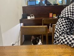 -原田新料理(1912店)