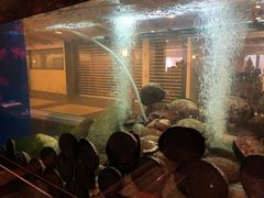 -渔洲情海鲜酒家
