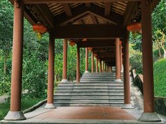 -广州神农草堂中医药博物馆