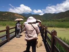 -泸沽湖国家级风景名胜区走婚桥