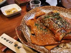 照烧豆腐鸡腿饭-拾年