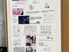 -金宝幼儿园(通州校区)