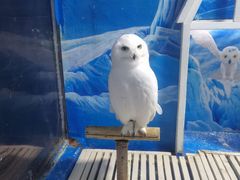 -成都浩海立方海洋公园