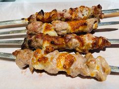 咸盐烤羊肉串-丝路有约·西域美食