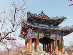 -梅花山(明孝陵内)