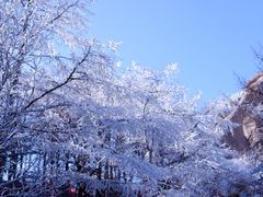 -崂山巨峰游览区