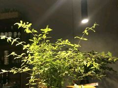-麦秋寿司(富都广场店)