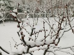 -北京市海淀外国语实验学校