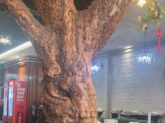 -梧桐树下(云锦世家店)