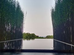 -三亚艾迪逊酒店·海滩烧烤 BARBACOA·现场乐队·浪漫晚餐·烧烤海鲜