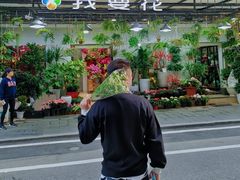 -溪岸路花鸟市场