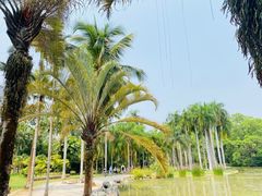 -中国科学院西双版纳热带植物园