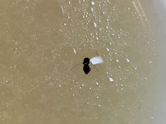 -泰粗卤加热卤味(义全店)