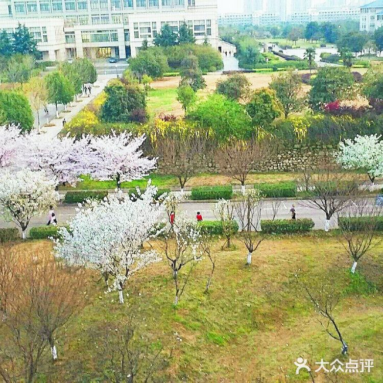 武汉旅游攻略之湖北中医药大学