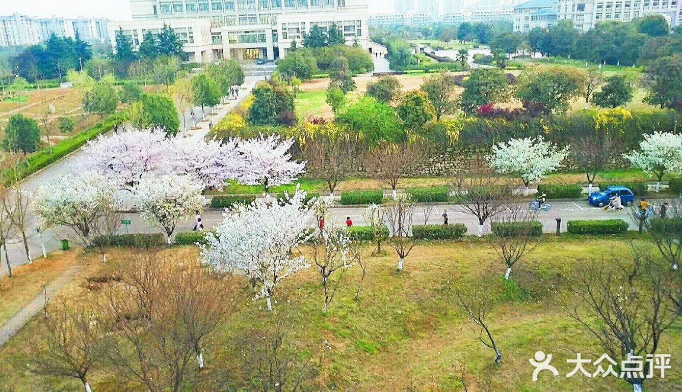 武汉旅游攻略之湖北中医药大学