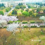 武汉旅游攻略之湖北中医药大学