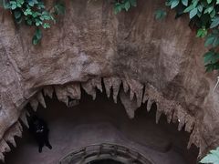 -南山植物园