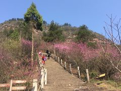 -天台山赤城山景区