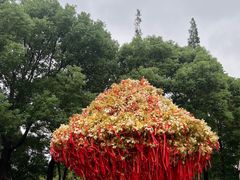 -狼山风景名胜区