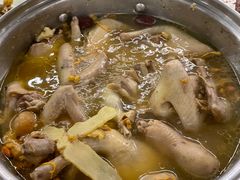 -百利鸽王(紫薇路店)