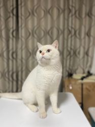 -哈妮儿童摄影(德清店)